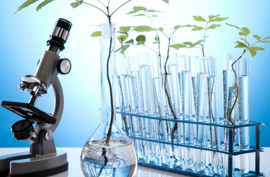 生物教学课件