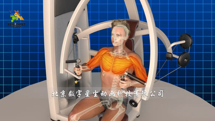 透显展示