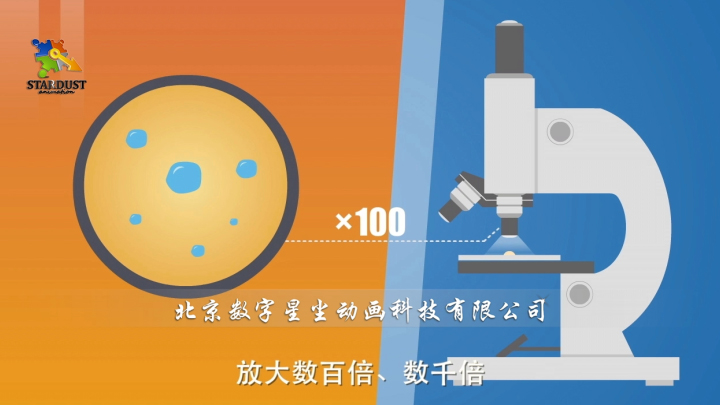 显微镜观察