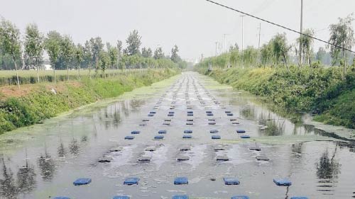 水质环境修复动画应用场景