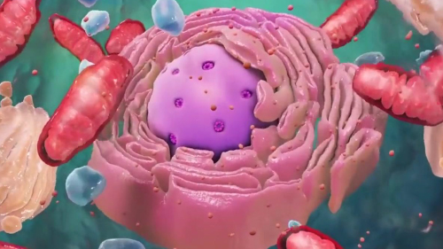 3d动画对医疗的帮助
